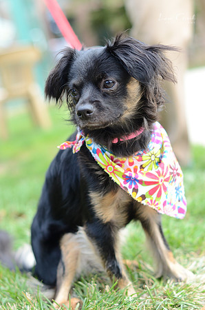 Lilly