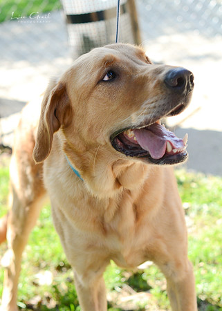 Buster
