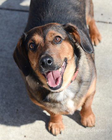 Delilah