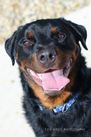 Chico