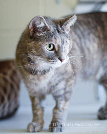 Zoe