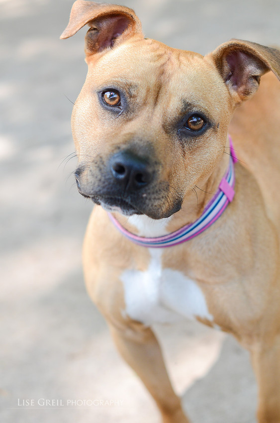 Ramona