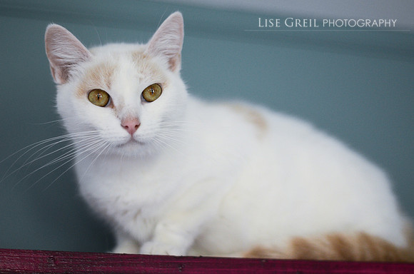 Sparkle