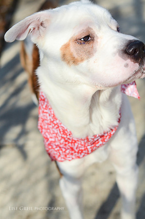 Templeton