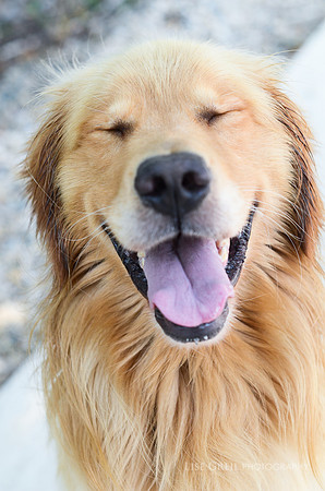Duke