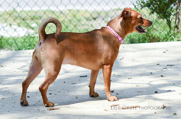 Molly