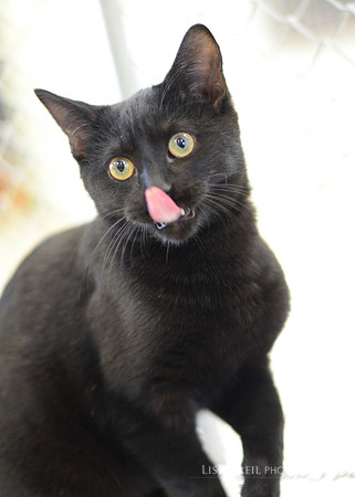 Binks