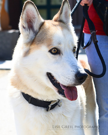 Archie