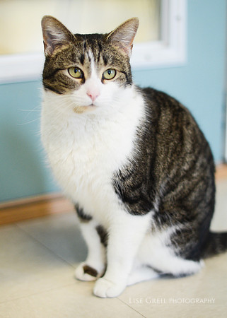 Mittens