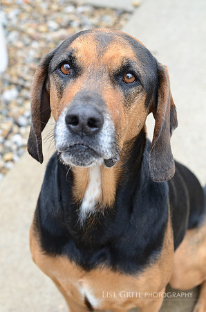Waylon