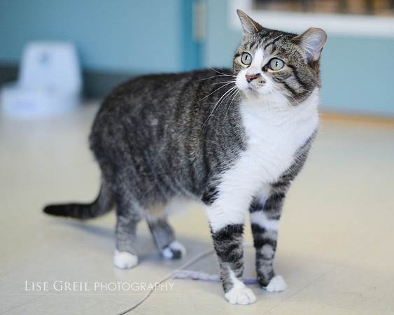 Jinxy