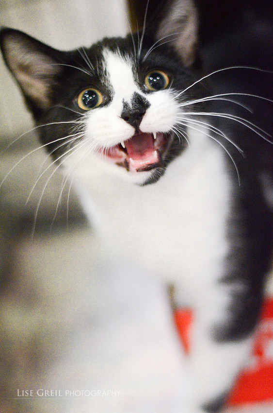 Milton