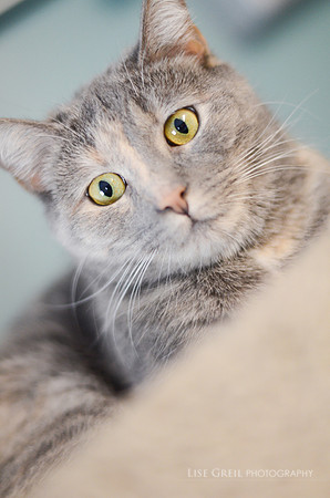 Delilah