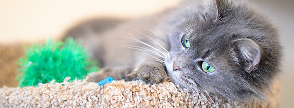 Missy