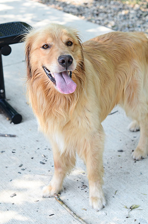 Duke