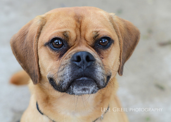 Gunther