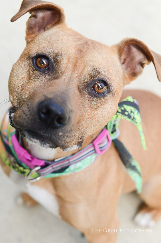 Ramona