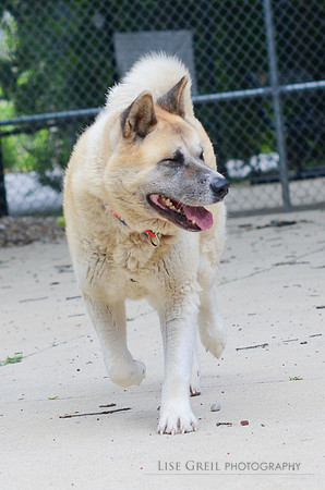 Kita