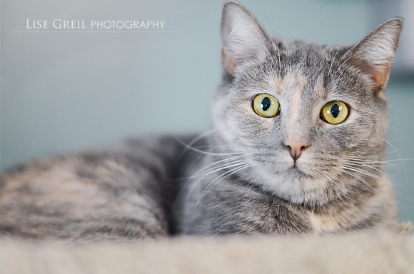 Delilah