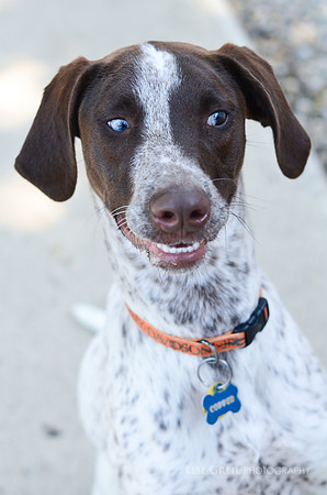 Cooper