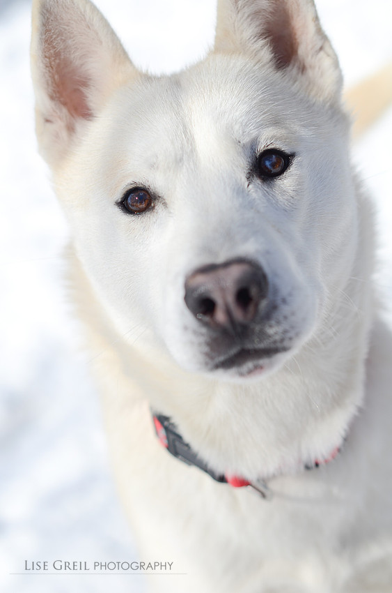 Blanca