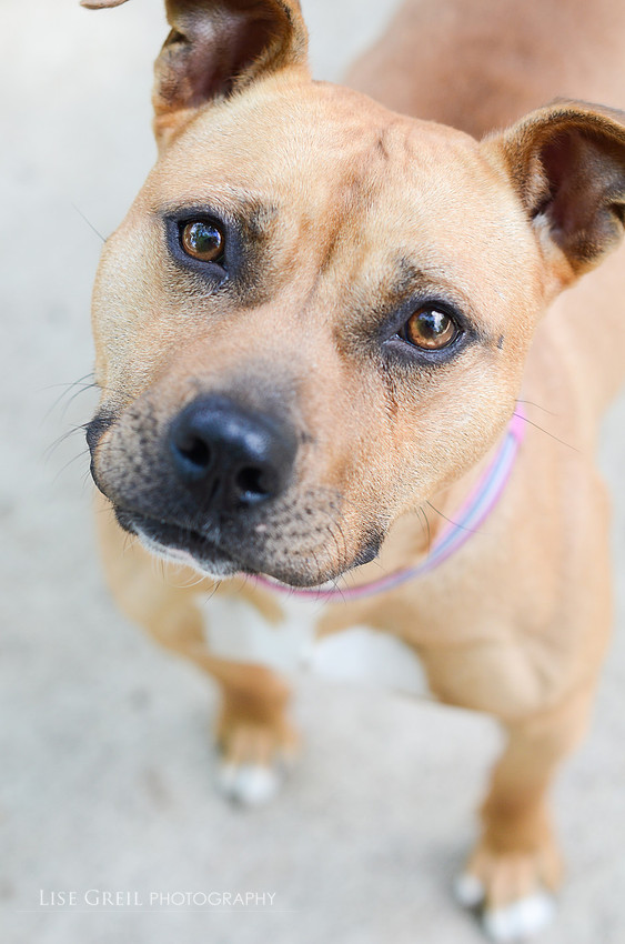 Ramona
