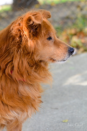Fiona
