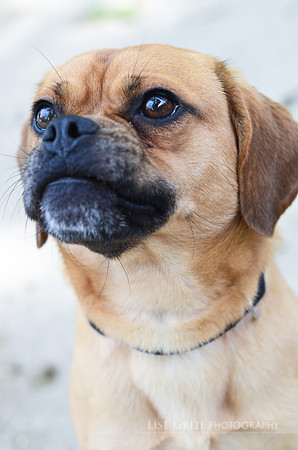 Gunther