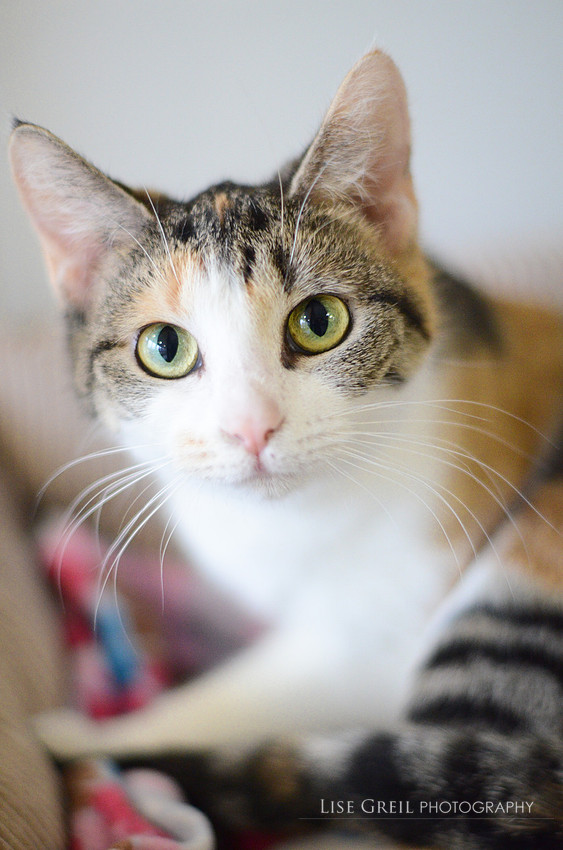 Kiki