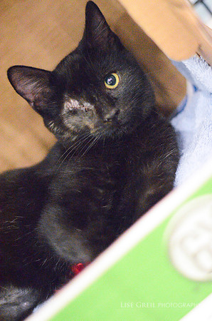 Mika