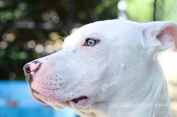 Blanca