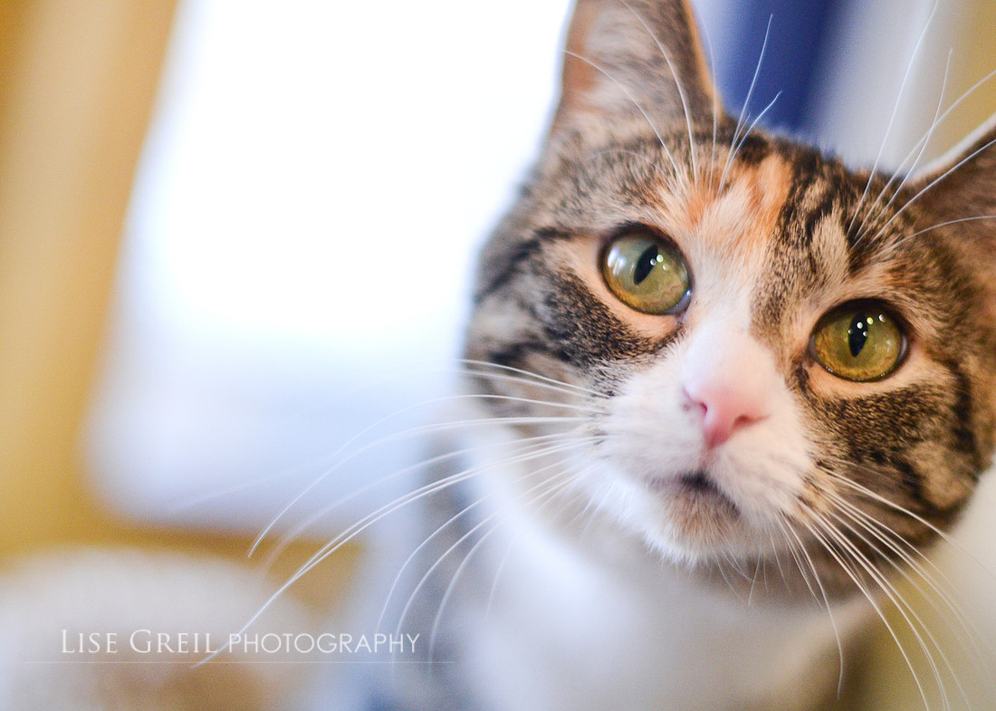 Gretel