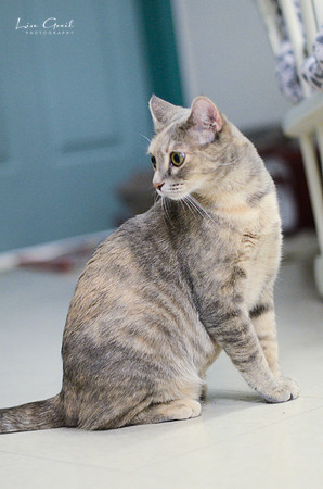 Molly