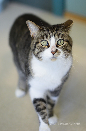 Jinxy