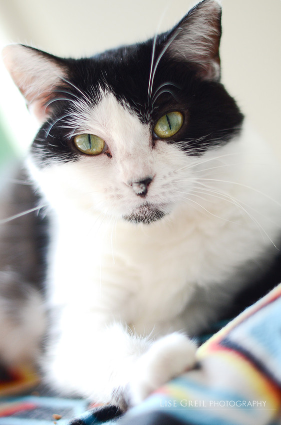 Laverne